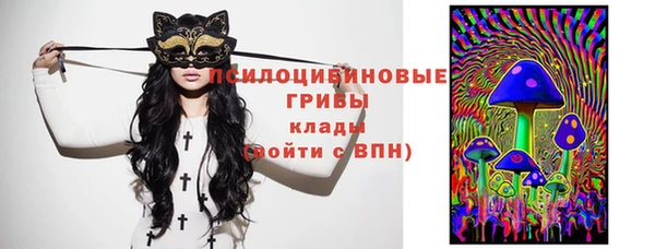 дурь Арсеньев