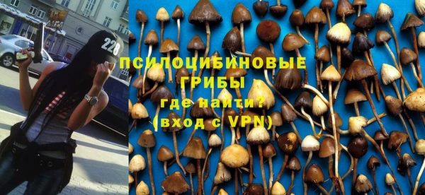 индика Армянск