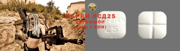индика Армянск