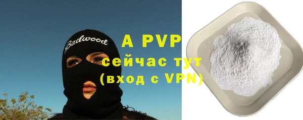 индика Армянск