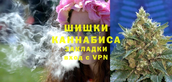 дурь Арсеньев