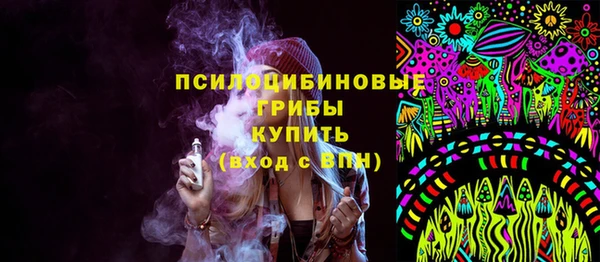 индика Армянск