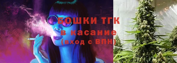 индика Армянск