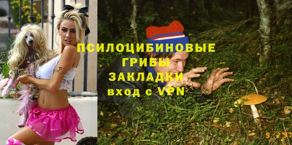дурь Арсеньев